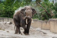 WILDLANDS Adventure Zoo Holland